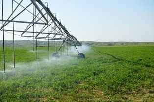灌溉和喷灌的区别